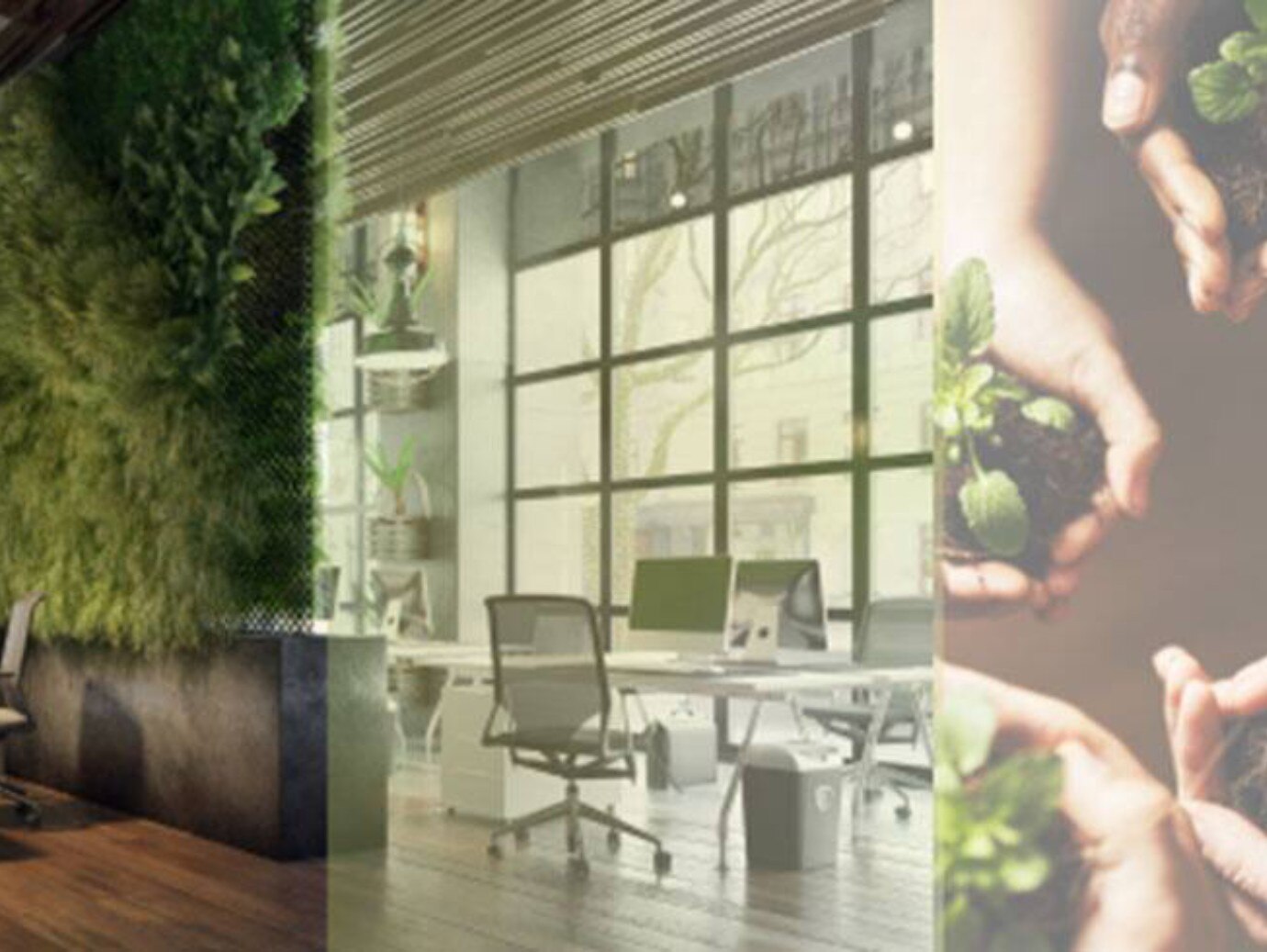 A spacious office featuring greenery, with plants adorning the walls and enhancing the workspace's atmosphere